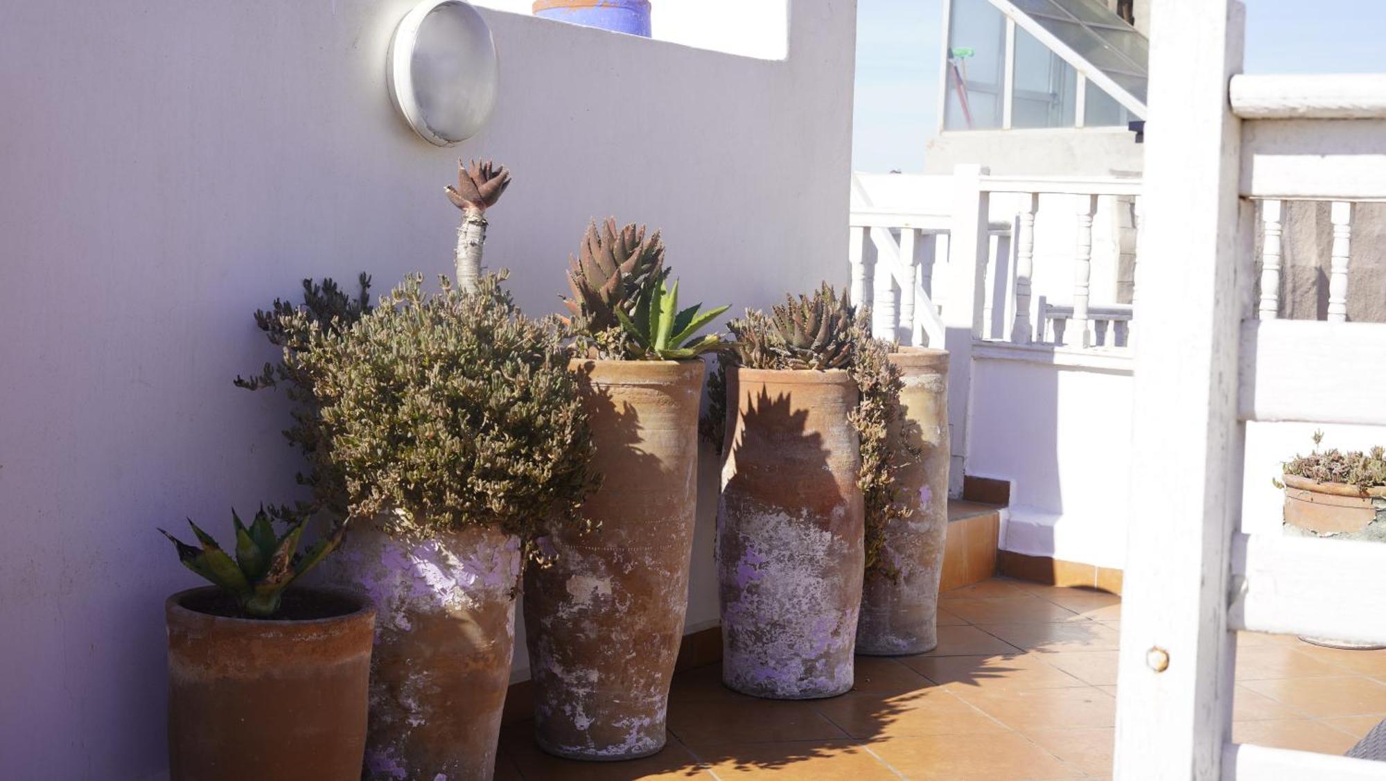 Dar Adul Hotel Essaouira Bagian luar foto